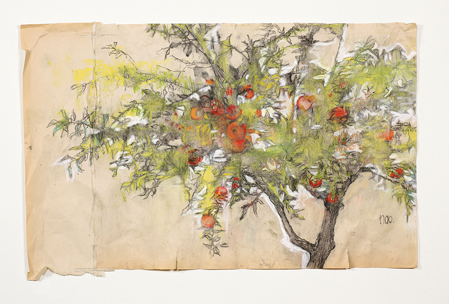 内田英恵監督のドキュメンタリー映像作品「ー絨毯の成る果樹の庭先ー トルコのある村の手仕事」の挿入画